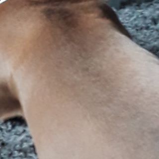 Profile Picture of Leo Mcdowell (@leo.mcdowell.39) on Facebook