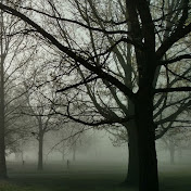 Profile Picture of Debbie Wilson (@debbiewilson2957) on Youtube