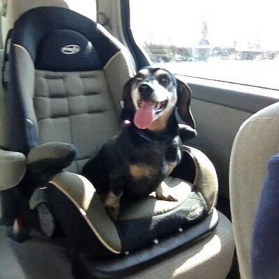 Profile Picture of David Laska (@67meMrDo) on Twitter