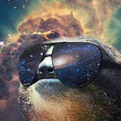 Profile Picture of Brian Thompson (@oldest_spices) on Twitter