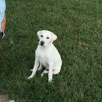 Profile Picture of Brady Kavanaugh (@_brady_k) on Instagram