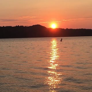 Profile Picture of Juliana T (@juliasprinkle) on Instagram