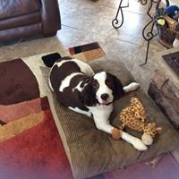 Profile Picture of Lori Liesch Peltier (@lori-liesch-peltier) on Quora