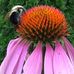 Profile Picture of Phyllis Weeks (@Phyllis-Weeks) on Facebook