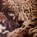 Profile Picture of Rhonda Renuard (@rhondarenuard) on Pinterest