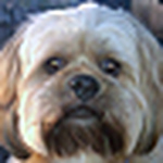 Profile Picture of Kevin Mcclish (@k. mcclish photography) on Flickr