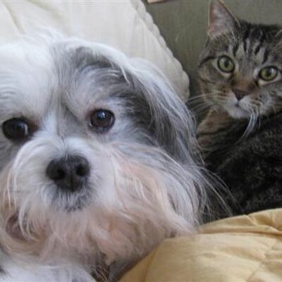 Profile Picture of Cindy Warden (@cindywarden) on Twitter