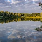 Profile Picture of Keith Kahn (@keithkahn) on Instagram