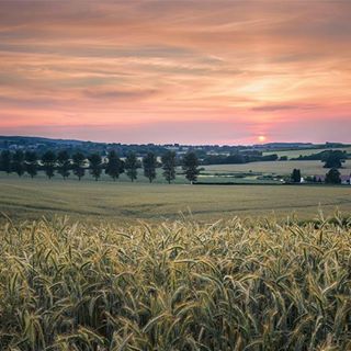 Profile Picture of Andrew Jeanes (@andrew.jeanes.393) on Facebook