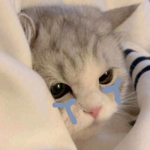 Profile Picture of AlışıkYüksel (@andrewuqemw) on Tiktok