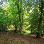 Profile Picture of Ronald Dunne (@ronald.dunne.98) on Facebook