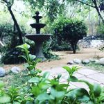 Profile Picture of Vivero El Jardín de Lo Abarca (@vivero_el_jardin_de_lo_abarca) on Instagram