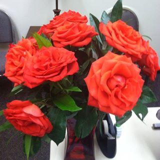 Profile Picture of Sallie Lakin (@sallie.lakin.5) on Facebook