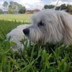 Profile Picture of Andrew Summers (@andrewsummers3) on Instagram
