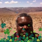 Profile Picture of Alex McGill (@alex.mcgill) on Instagram