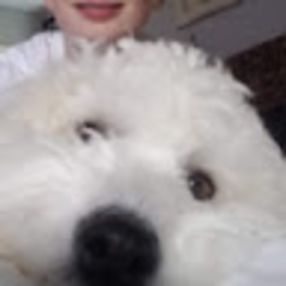 Nathan Wortley - Poshmark Profile Picture of Nathan Wortley (@nathanwortley) on Poshmark