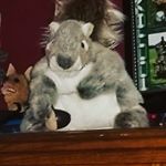 Profile Picture of Sean Fogelman (@fogelmansean) on Instagram