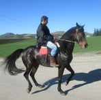 Profile Picture of Matteo Tallarita (@Matteo-Tallarita) on Facebook