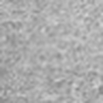 Profile Picture of Caleb Hogan (@Caleb.) on Flickr