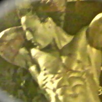 Profile Picture of Eddy James (@eddy-james-3) on Quora