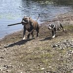 Profile Picture of Andy Power (@andy.power.7505) on Facebook