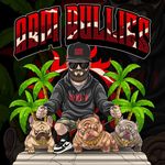 Profile Picture of New Dog Breeder Learning from the Best 🐾🐾 (@abmbullies) on Instagram