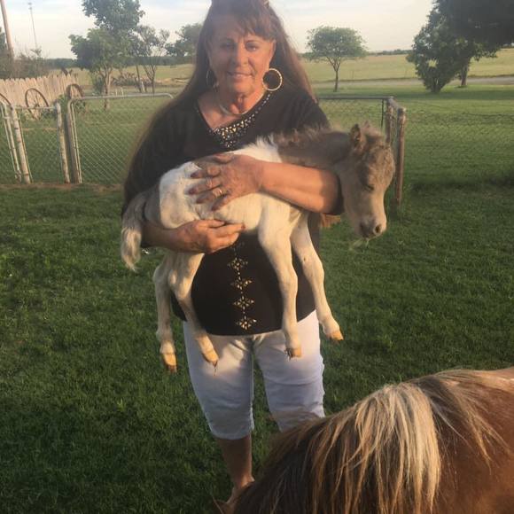 Pam Boyer - Poshmark Profile Picture of Pam Boyer (@pamboyer) on Poshmark