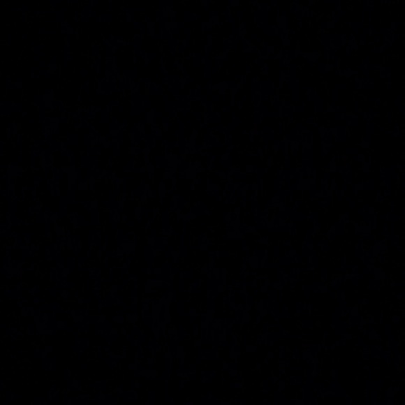 Profile Picture of Ashley Favero (@afaverocs) on Poshmark