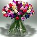 Profile Picture of Tammy Clugston Kadlec (@kaddy71) on Pinterest