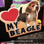 Profile Picture of Brian Weiss (@brian__weiss) on Instagram