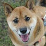 Profile Picture of Tamara Randolph (@kiokobaby) on Instagram