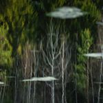 Profile Picture of Michael Polyakov (@michaelpolyakovphoto) on Instagram