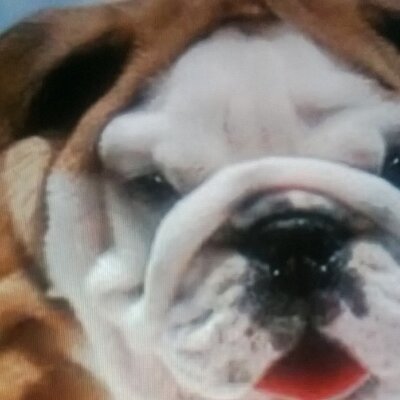 Profile Picture of Josh Anderton (@fifa14_josh) on Twitter