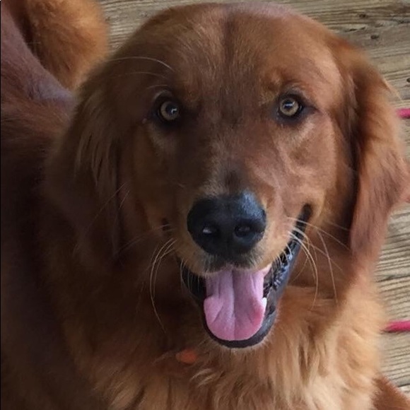 Profile Picture of Marsha Davis (@mantsmoma) on Poshmark