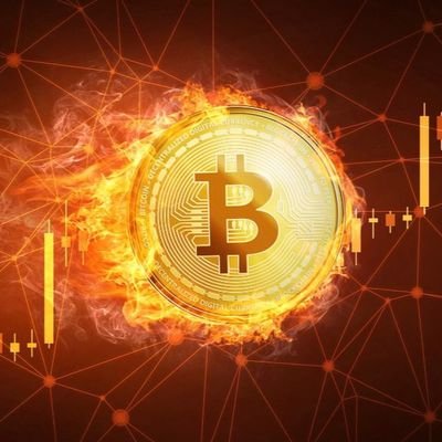 Profile Picture of Ken Pauls (@ken_pauls) on Twitter