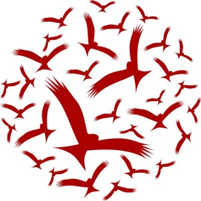 Katherine Fenton - Twitter Profile Picture of Katherine Fenton (@RedKiteJeans) on Twitter