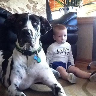 Profile Picture of Stolich Sam Grader Svehla (@stolichsamgrader.svehla) on Facebook