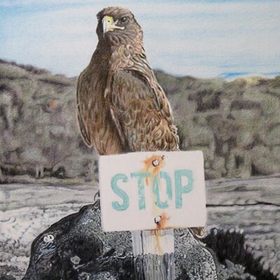 Profile Picture of Jason Ferguson (@jsnzart) on Twitter