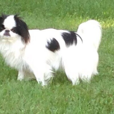 Profile Picture of Michael G haleyon Twitter