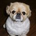 Profile Picture of Vernon Hall (@vernon.hall.10) on Facebook