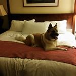 Profile Picture of Andrew (@monarchofpvd) on Instagram
