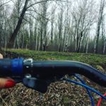 Profile Picture of William Grissom (@william313428) on Instagram