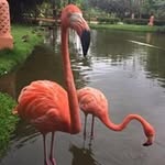 Profile Picture of Bernice Williams Richards (@richards.bernice) on Instagram