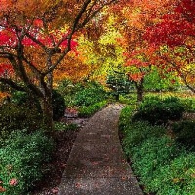 Profile Picture of Ralph Walker (@RalphWalkervLDS) on Twitter