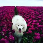 Rocio Madrigal - Instagram Profile Picture of Rocio Madrigal (@rocio.madrigal.180) on Instagram