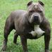 Profile Picture of Larry Rocky (@larry.rocky.39) on Facebook