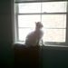 Profile Picture of Sarah Burnett Devendorf (@sarahdevendorf) on Pinterest