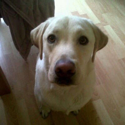 Profile Picture of Joe Phillip Butcher (@JoPhillipButche) on Twitter