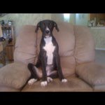 Profile Picture of James Keating (@jrkeating) on Instagram