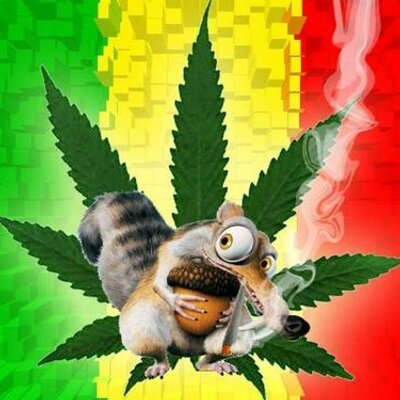 Profile Picture of Juan Maysonet (@juaniquill0) on Twitter